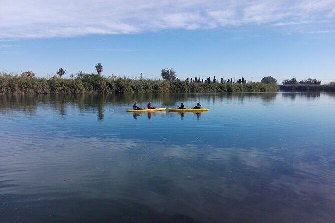 guided-kayak-tour-to-gracia-island