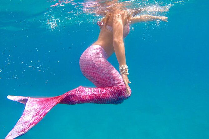 guided-mermaid-snorkel-experience-free-videos-in-west-palm-beach