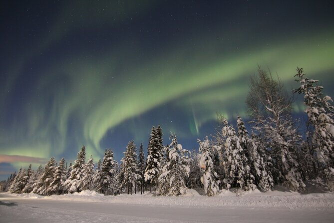 guided-northern-lights-tour-at-kiruna-2