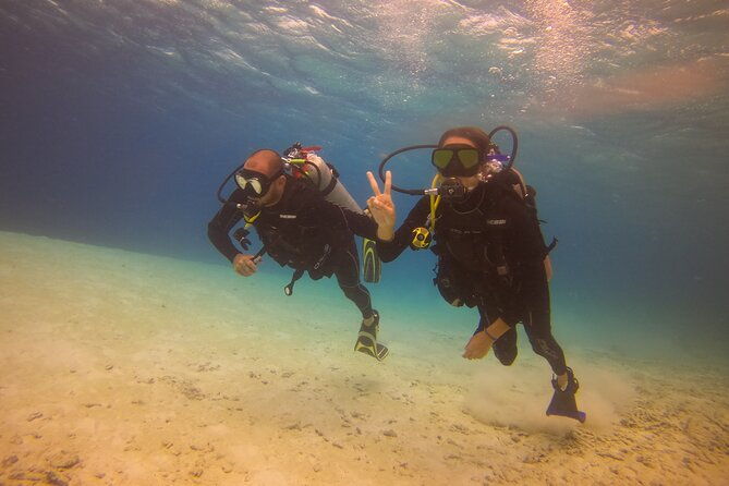guided-padi-discover-scuba-diving-for-non-certified-divers