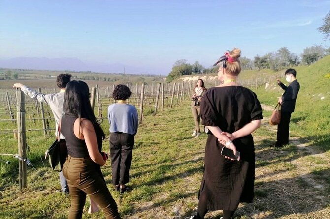 guided-premium-tour-in-lugana-doc-5-wines-from-perla-del-garda