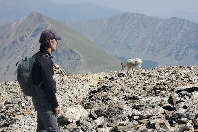 guided-private-scenic-colorado-mountain-hiking-half-day