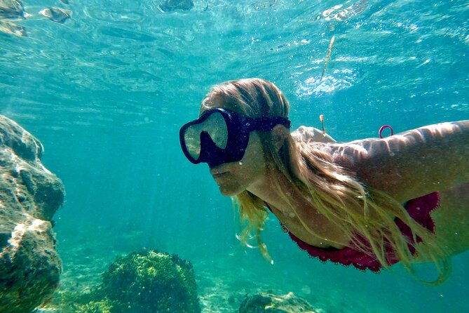 guided-snorkel-experience-free-videos-in-west-palm-beach