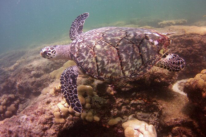 guided-snorkel-experience-in-fort-lauderdale