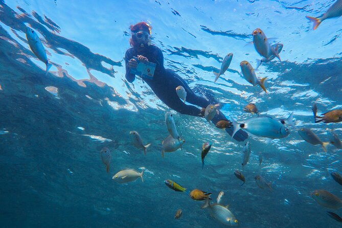 guided-snorkel-experience