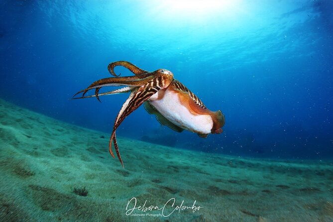 guided-snorkeling-experience