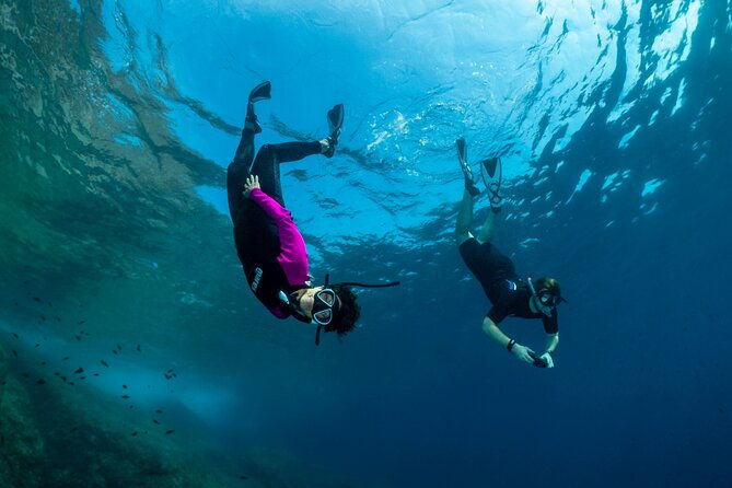 guided-snorkeling-in-the-portofino-marine-protected-area