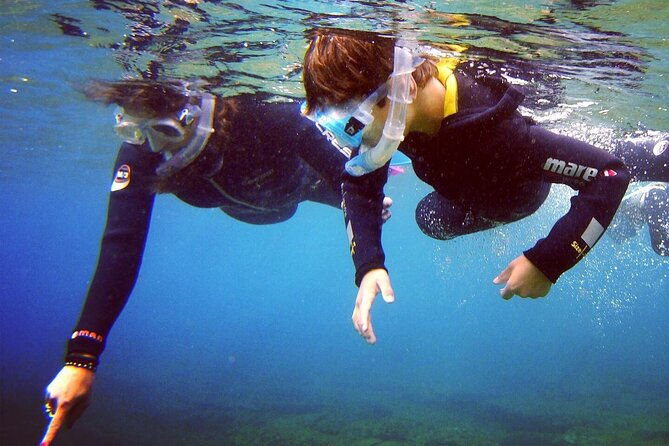 guided-snorkelling-experience-in-south-of-gran-canaria