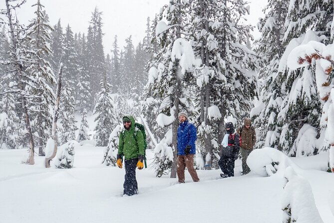 guided-snowshoe-tour-in-bend-oregon