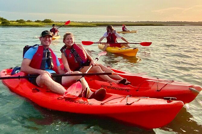 guided-tour-for-dolphin-sea-turtle-observation-in-saint-augustine-florida