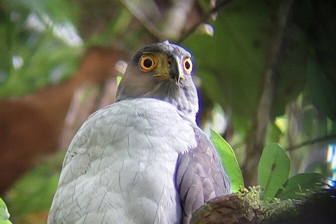 guided-tour-in-the-curicancha-reserve