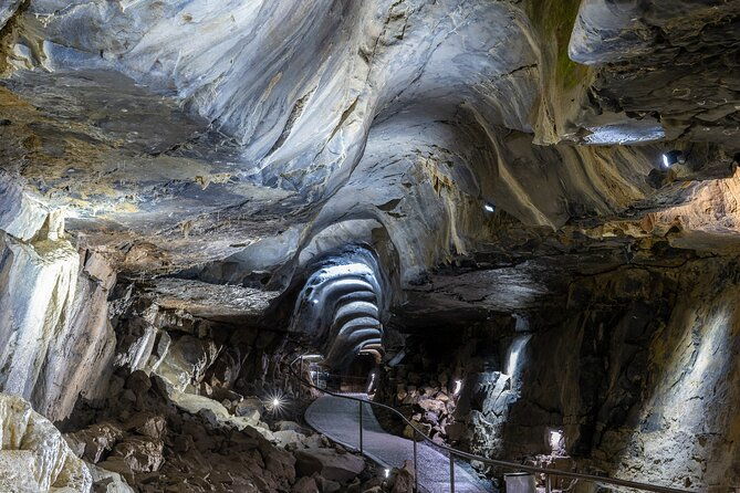guided-tour-of-aillwee-cave-and-visit-to-the-birds-of-prey-centre
