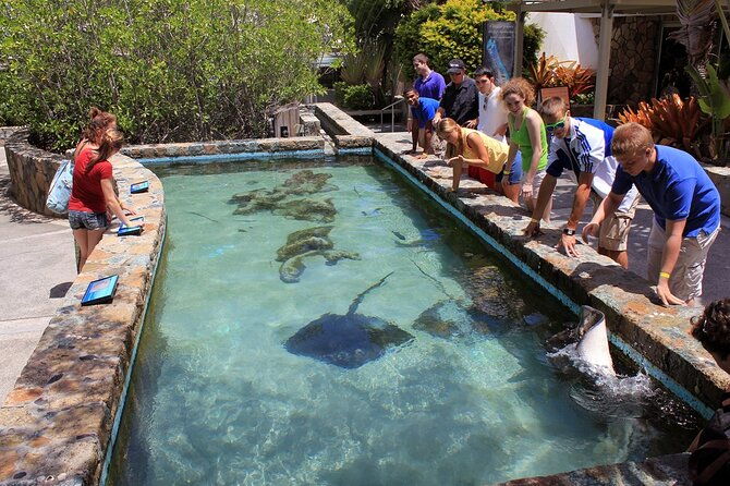 guided-tour-of-coral-world-ocean-park-happy-hour