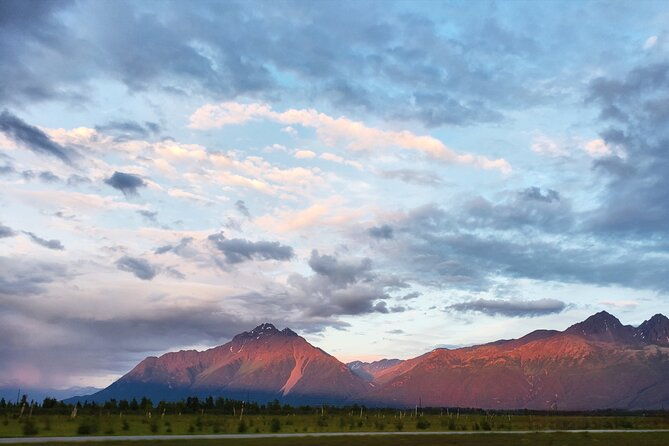 guided-tour-of-musk-ox-farm-scenic-drive-from-anchorage