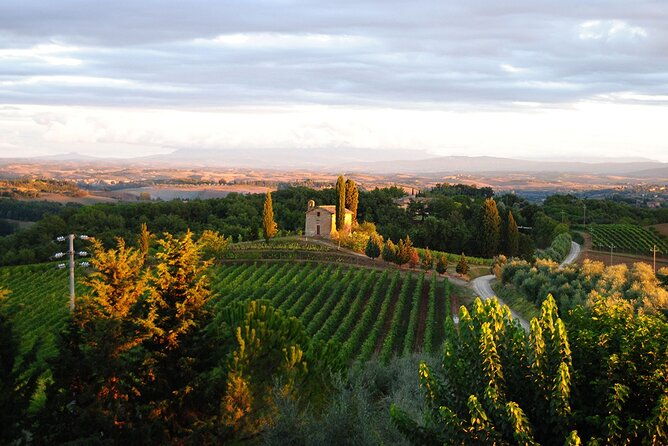 guided-tour-of-the-cellars-with-wine-tasting-and-lunch