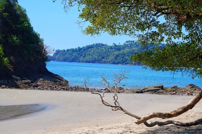 guided-tour-of-the-national-park-manuel-antonio