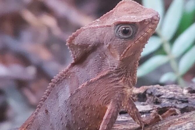guided-visit-to-manuel-antonio-national-park