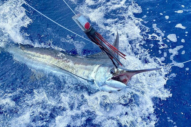 half-day-afternoon-angler-charter