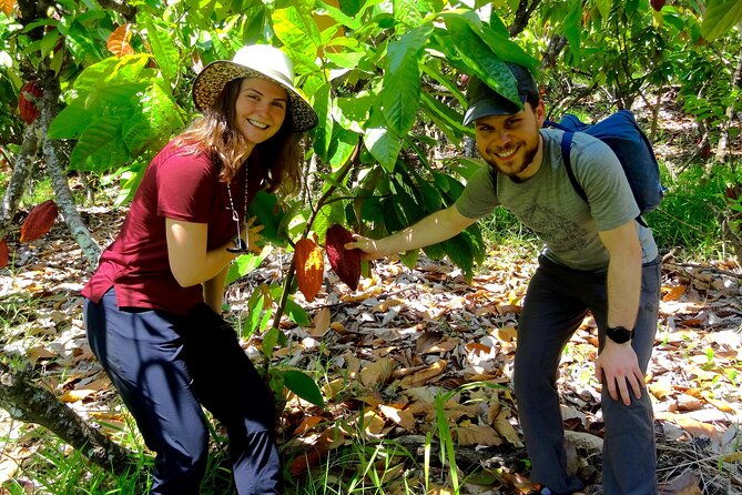 half-day-bliss-cacao-farm-adventure-guayaquil-city-highlights