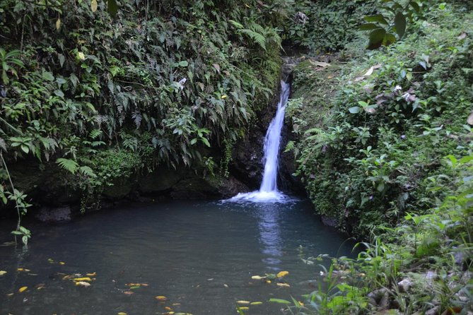 half-day-center-of-puerto-rico-cultural-tour