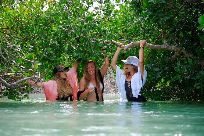 half-day-charter-sandbar-snorkeling-and-eco-adventure