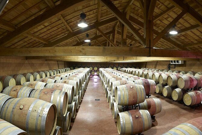 half-day-cotes-du-rhone-private-wine-tour-from-lyon