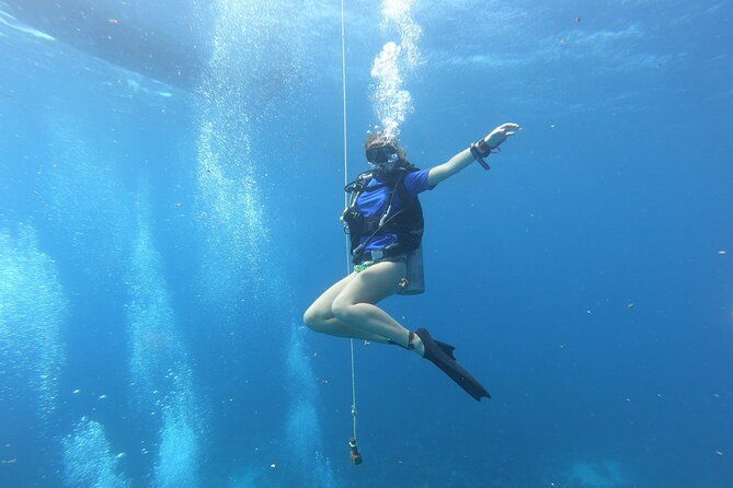 half-day-dive-tour-in-san-andres-island-certified-divers-only