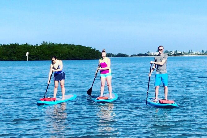 half-day-excursion-to-johns-pass-sandbar-mangrove-tunnel
