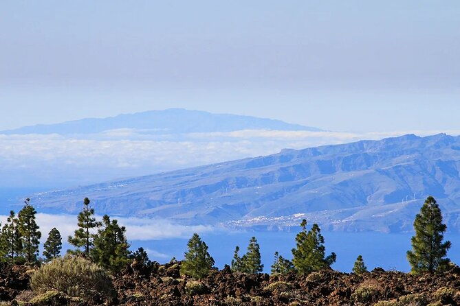 half-day-excursion-to-teide-national-park