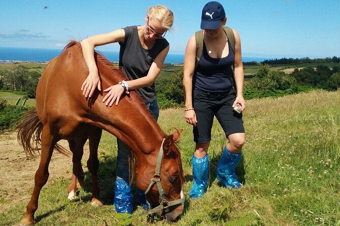 half-day-farm-visit-and-cow-milking-experience