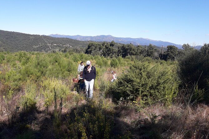 half-day-gastronomic-wild-walk-in-girona-4