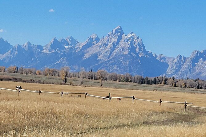 half-day-grand-teton-national-park-wildlife-safari-private-tour