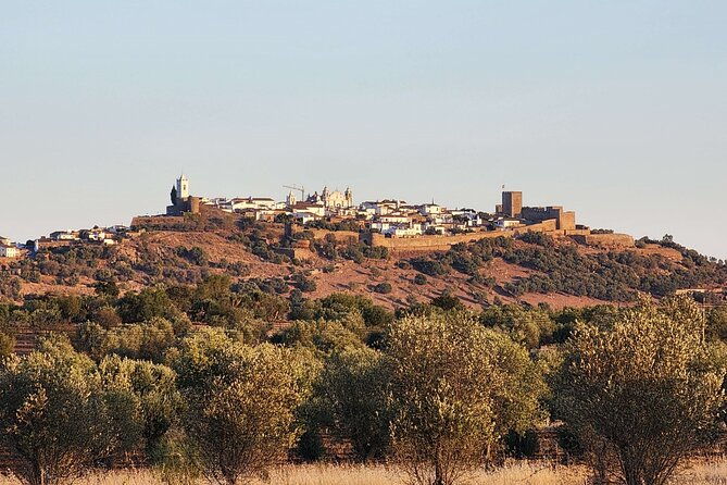 half-day-guided-monsaraz-village-and-castle-tour-from-evora
