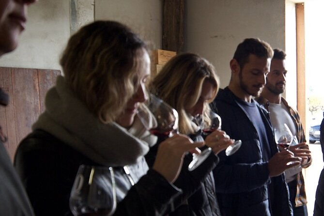 half-day-guided-wine-tasting-tour-in-bordeaux-vineyards-2