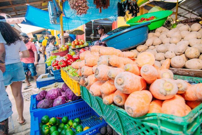 half-day-higuey-cultural-safari-with-lunch-and-drinks