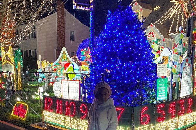 half-day-holiday-and-tacky-lights-tour-in-richmond