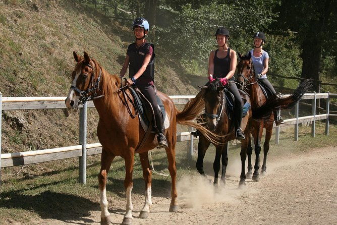 half-day-horseback-ride-in-tuscany-for-beginner-riders