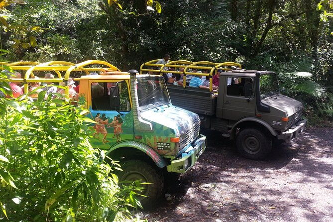 half-day-jeep-safari