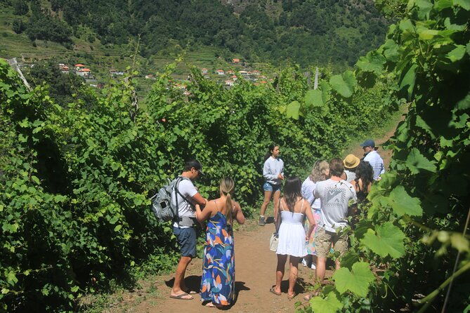 half-day-jeep-wine-tour-and-tasting-sea-cliff-adventure-3