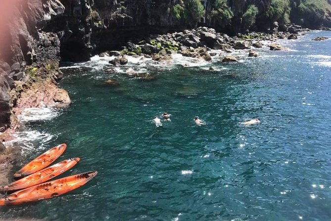 half-day-kayak-tours