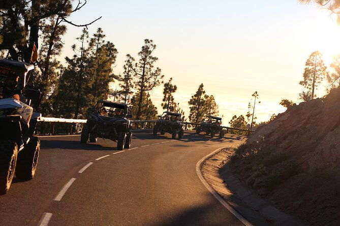 half-day-morning-buggy-tour-in-teide-national-park