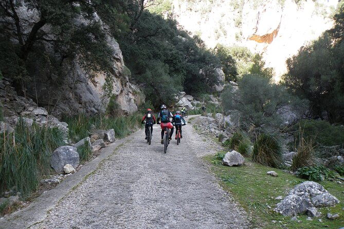 half-day-mountain-bike-experience-to-serra-de-tramuntana