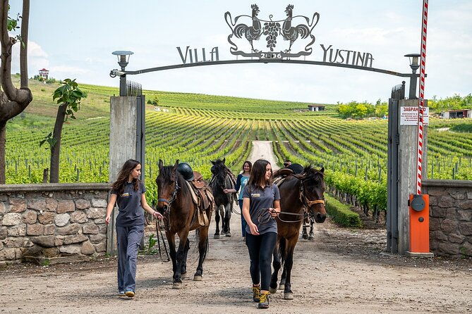 half-day-of-horseback-adventure-with-wine-tasting