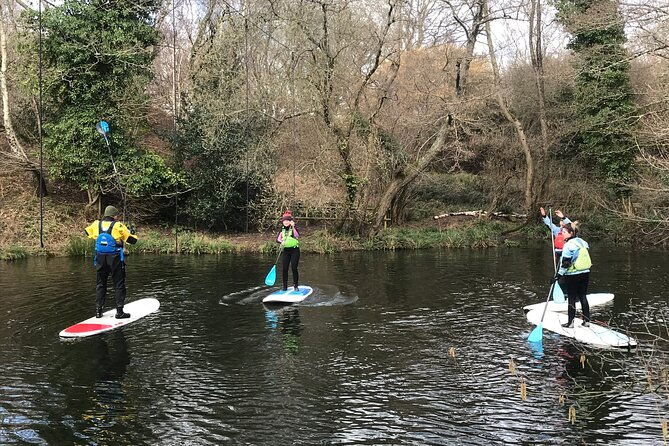 half-day-paddleboarding-exploration-on-the-dart