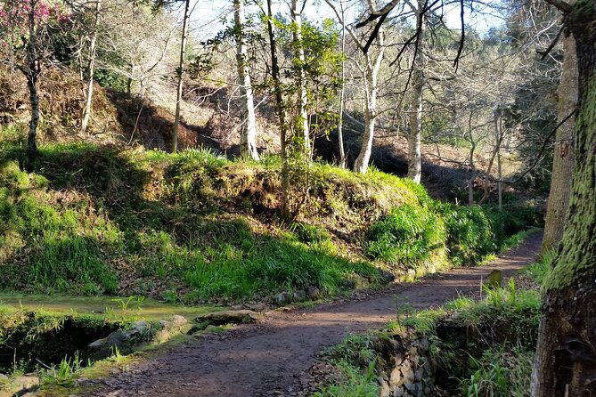 half-day-paradise-valley-walking-tour