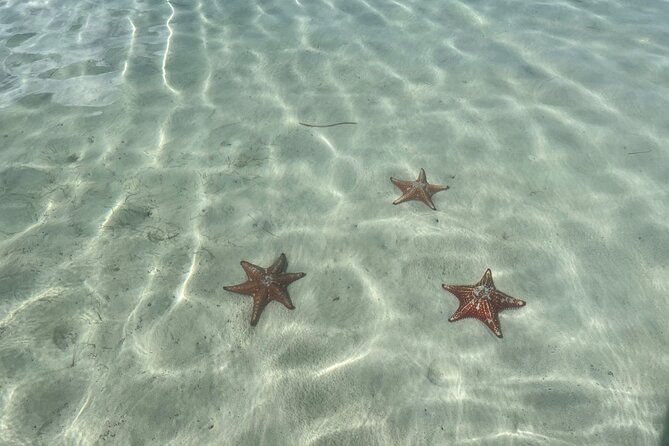 half-day-private-boat-charter-in-grand-cayman