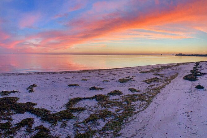 half-day-private-guided-nature-of-floridas-gulf-coast-eco-tour