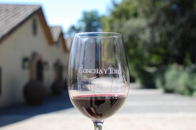 half-day-private-tour-concha-y-toro-vineyard-from-santiago-winetasting-included