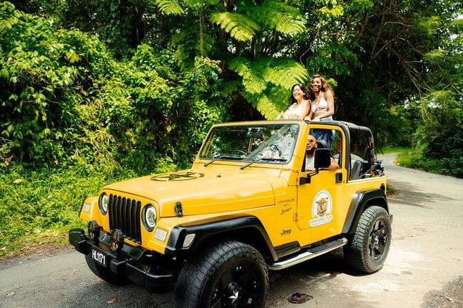 half-day-private-tour-in-st-lucia-jeep-wrangler