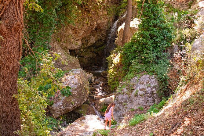 half-day-private-tour-picnic-in-real-cretan-countryside-retreat
